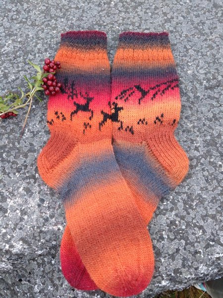 Product image of Tunturi