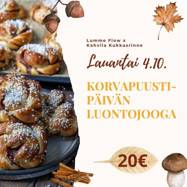 Product image of  Korvapuustipäivän Luontojooga 4.10.