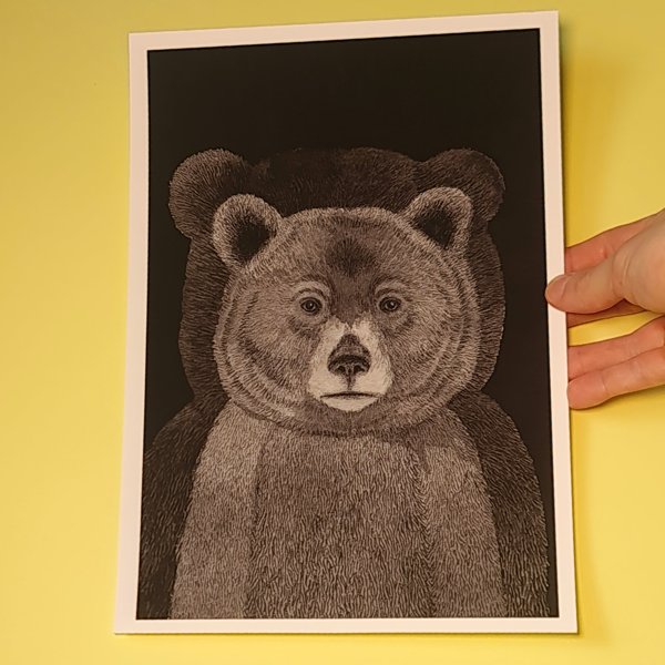 Product image of Kaamoskarhu -taideprintti A4 308gsm