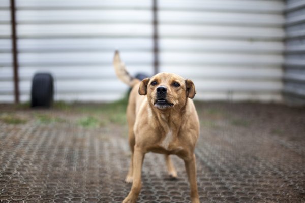 Product image of  Käytösneuvonta verkossa 60 minuuttia