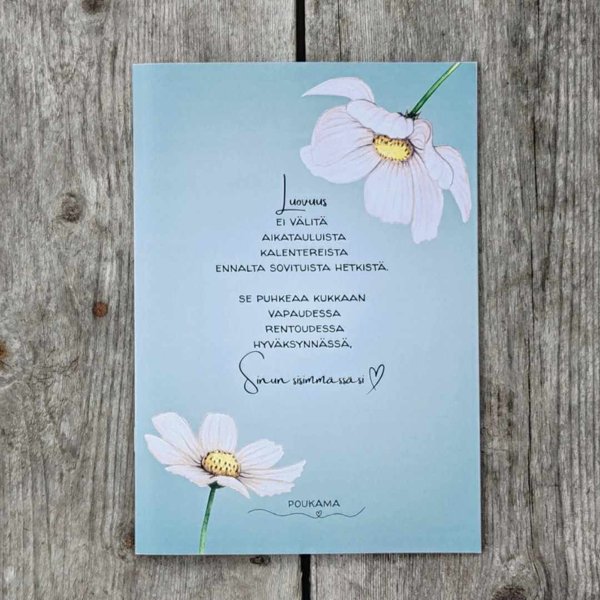 Product image of  Vihko - Luovuus