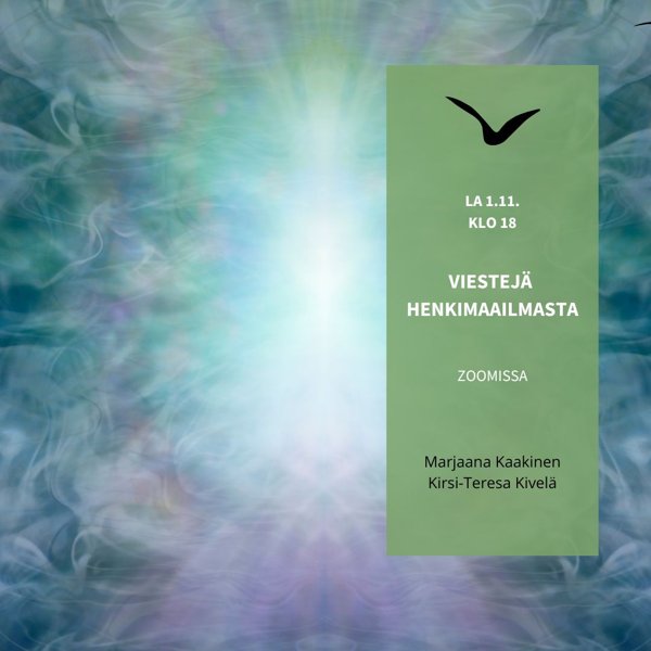 Product image of  Viestejä henkimaailmasta Zoomissa la 1.11.