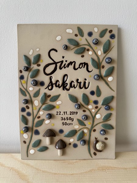 Product image of  Mustikkametsä