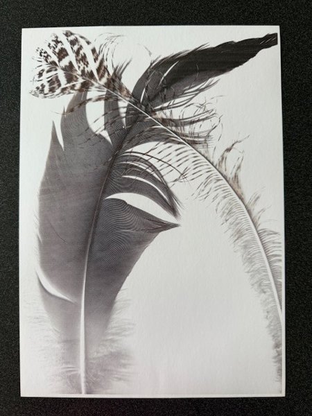 Product image of  Sulkataulu