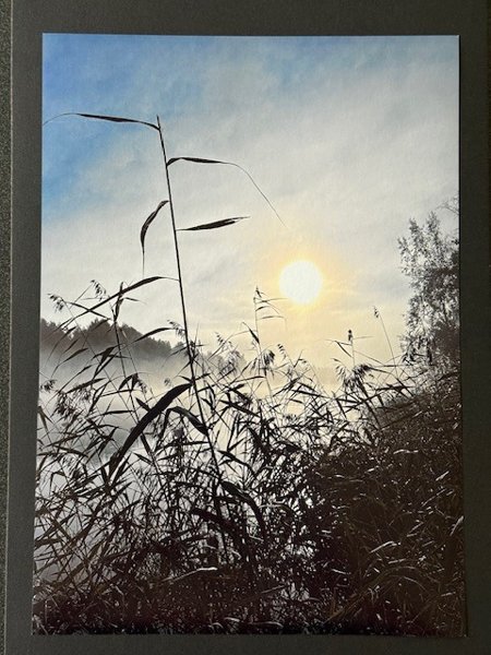 Product image of  Valokuvataulu