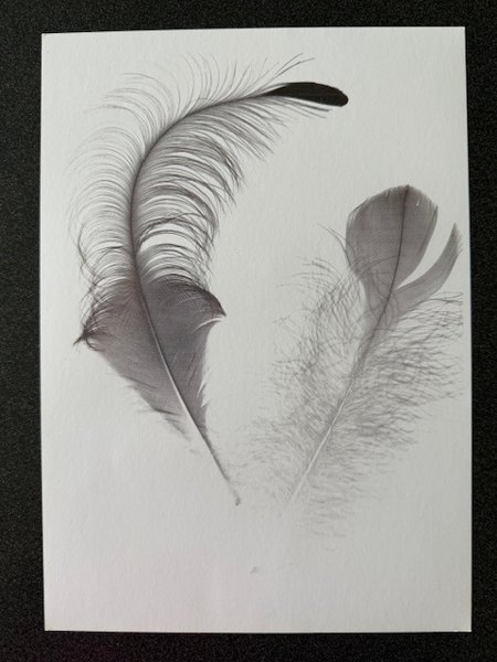 Product image of  Sulkataulu