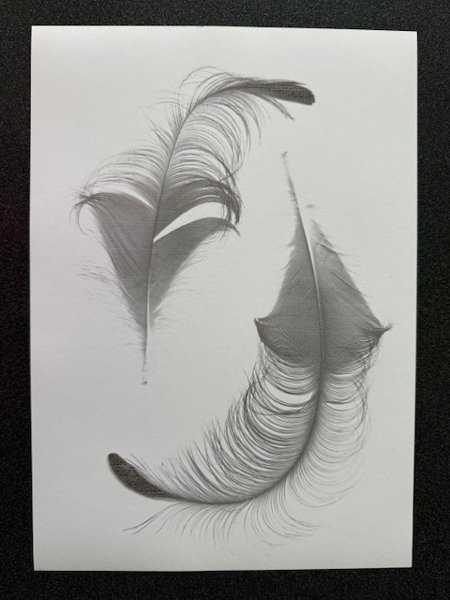 Product image of  Sulkataulu