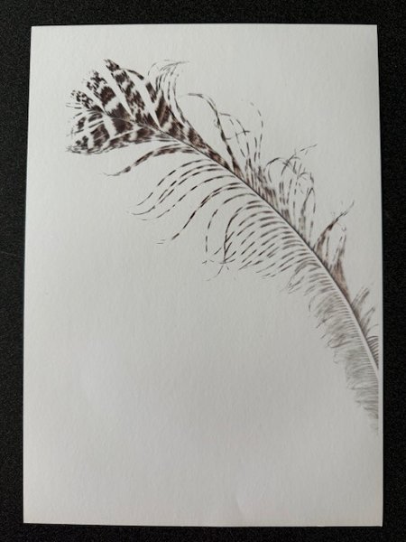 Product image of  Sulkataulu