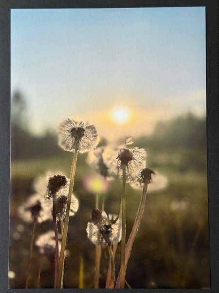 Product image of  Valokuvataulu