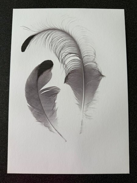 Product image of  Sulkataulu