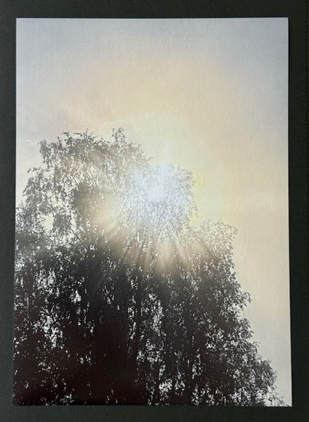 Product image of  Valokuvataulu