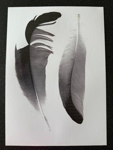 Product image of  Sulkataulu