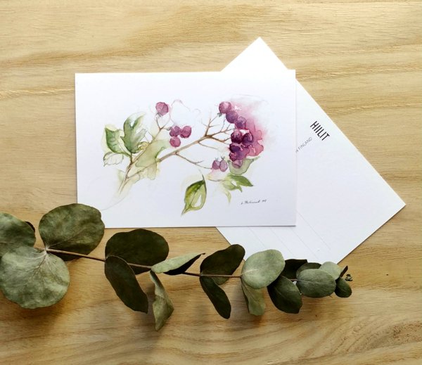 Product image of  Karhunvatukka postikortti
