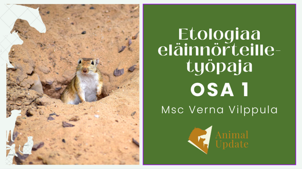 Product image of  EET-työpaja OSA 1, etänä 03.12.25 klo 18:00-20:30