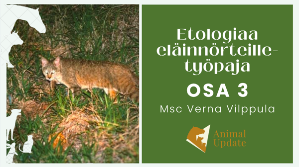 Product image of  OSA 3, etänä 28.01.26 Etologiaa eläinnörteille-työpaja