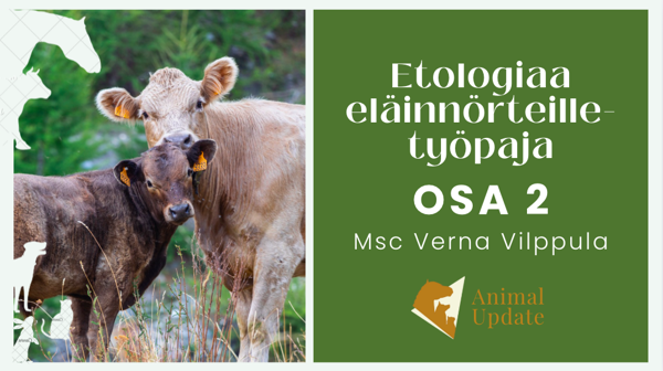 Product image of  EET-työpaja OSA 2, etänä 10.12.25 klo 18:00-20:30