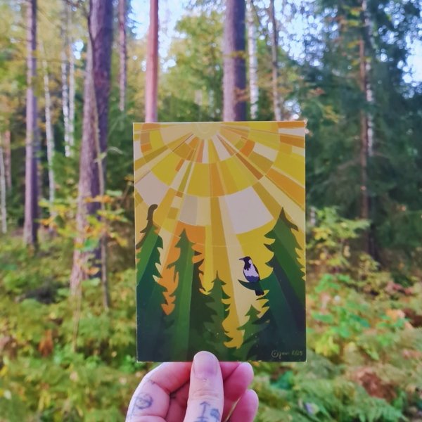 Product image of  Suojelumetsä-postikortti