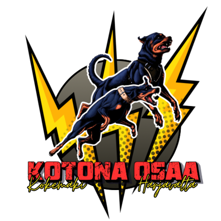 Kotona Osaa