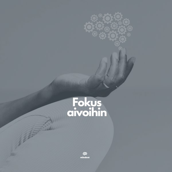 Product image of  Fokus aivoihin – Keskittymiskyvyn treeniohjelma