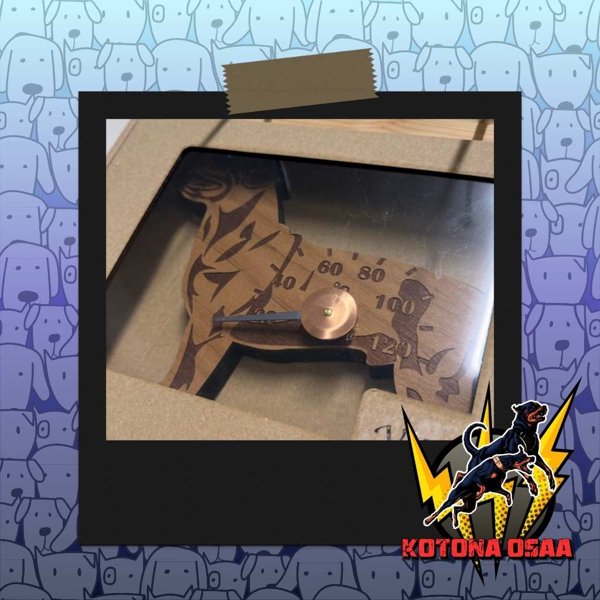 Product image of Doggo saunamittari