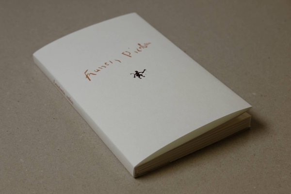 Product image of  Francis Picabia: Levotonta valoa