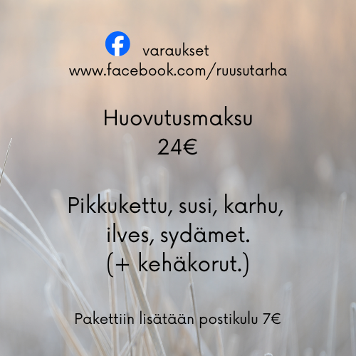 Product image of  HUOVUTUSMAKSU 2