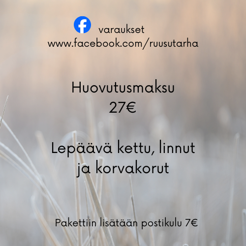 Product image of  HUOVUTUSMAKSU 1