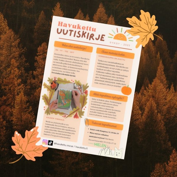 Product image of  Uutiskirje Syksy 2025 Ei-jäsenille