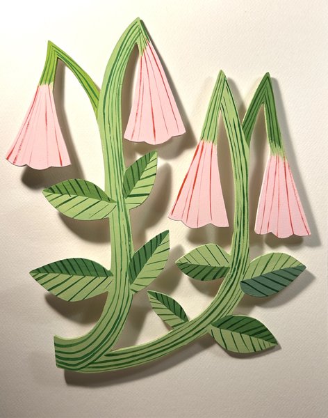 Product image of Vanamo