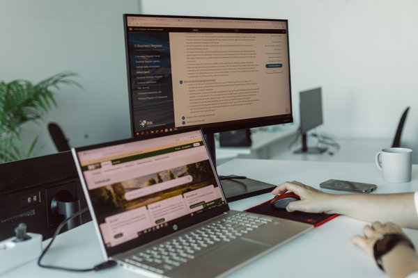 Product image of  Light Entrepreneurship Consulting (Finland)