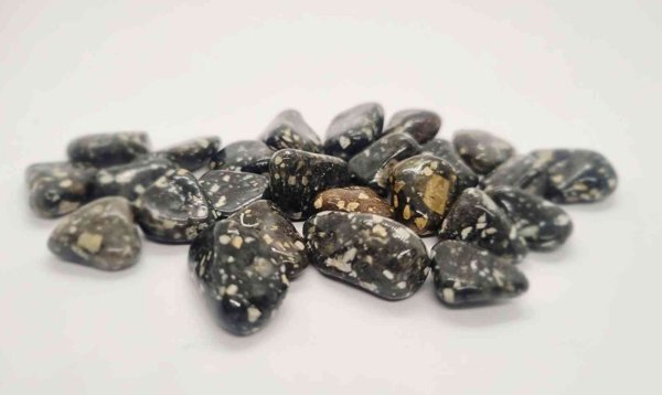 Product image of  Helmikanajaspis (Guinea fowl) , rumpuhiottu, koko S