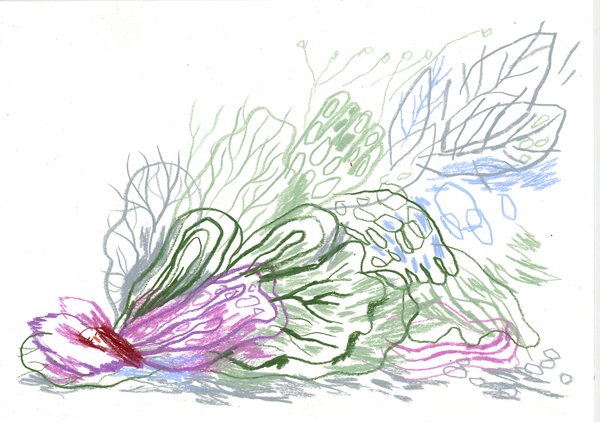 Product image of  Päiväunet