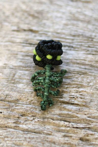 Product image of  letti-/takkukoru - saniainen