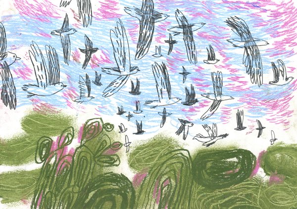 Product image of  Linnut metsän yllä