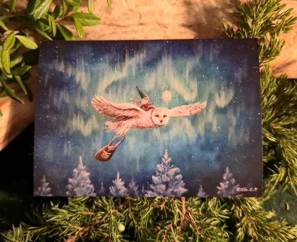 Product image of  Taidekortti, Lentopostia