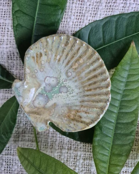 Product image of  Simpukkakippo (pieni, vihertävä)