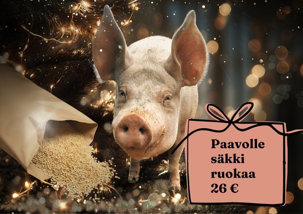 Product image of Paavolle säkki ruokaa