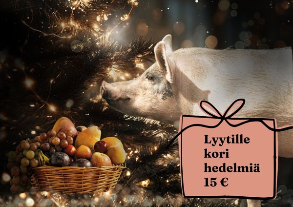 Product image of Hedelmäkori Lyytille