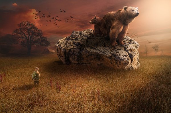 Product image of Shamanistinen parantaminen