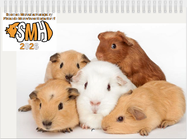 Product image of Seinäkalenteri