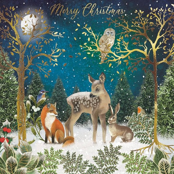 Product image of Voimaeläinjoulukalenteri