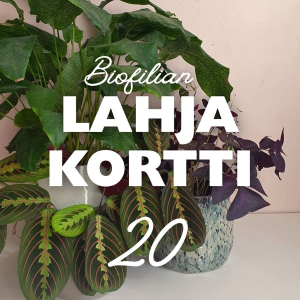 Product image of  LAHJAKORTTI - GIFT CARD 20€