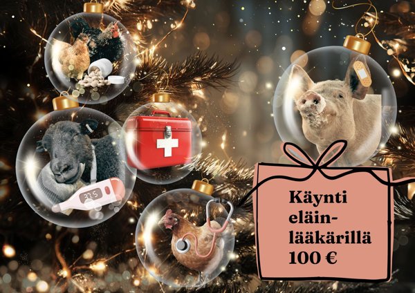 Product image of Eläinlääkärikäynti