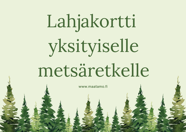 Product image of  Lahjaksi yksityinen metsäretki (2h)