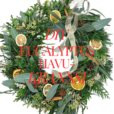 Product image of DIY Eucalyptus-havukranssi boxi -SUPERSUOSITTU!