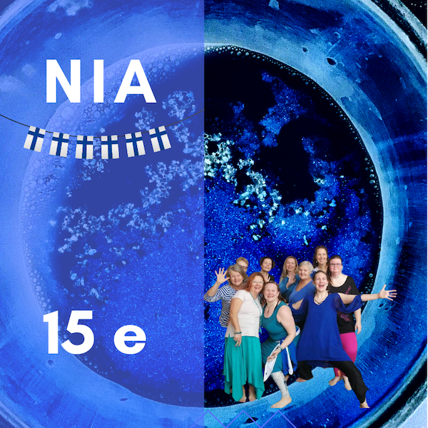 Product image of  NIA 6.12. | KERTAMAKSU 15 e