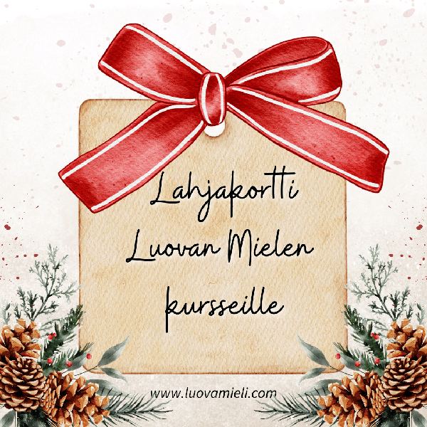 Product image of Lahjakortti 120€