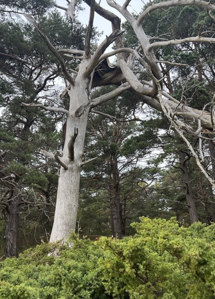 Product image of Yksilöterapia 45min x10