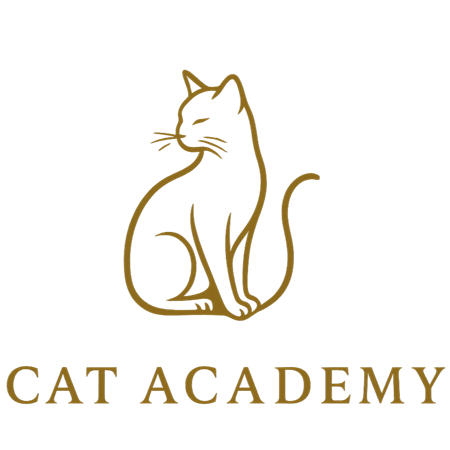 Cat Academy kauppa