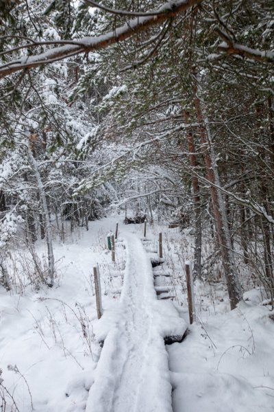 Product image of JUOKSULEIRI 1/26